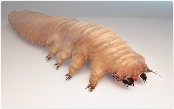 demodex